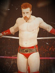 1994falloutboy:  Favorite pictures of Sheamus in his ring gear :3