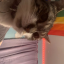 kktumbles222