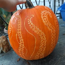 kaynoxxcrafts:  This years pumpkin!! 🎃🐙