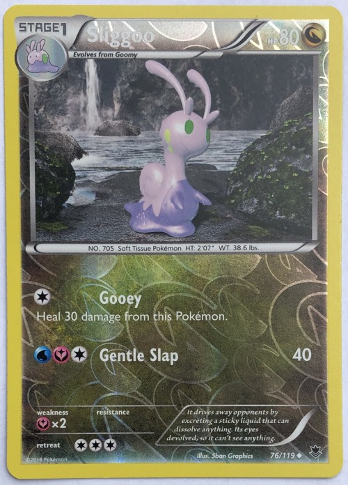 ladyowltonspokemon