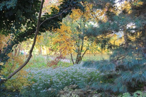 My photography, please leave credit. :)