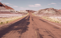 oxane:  petrified forest painted desert by