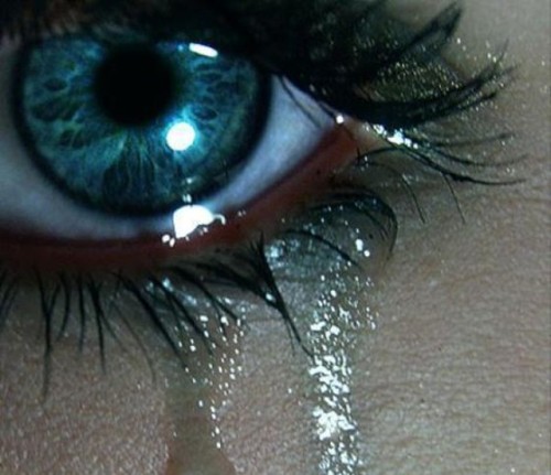 No One’s Love