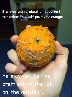 fandom-inc:  fandom-inc:  self positivity is key remember the self positivity orange  oh god never mind it tasted like shit  I&rsquo;m almost Positive thats mold&hellip;