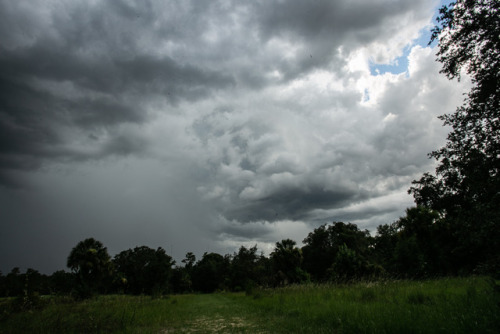 Florida Storm