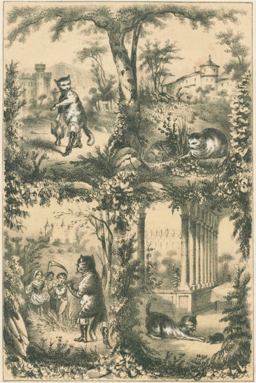 Les Fées.Historiettes naïves et enfantines racontées par Charles Perrault.Lithographies artistiques 