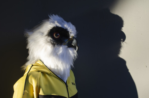 A commissioned Aarakocra, based on a white tailed kite! Resin base with moving jaw, and a combinatio