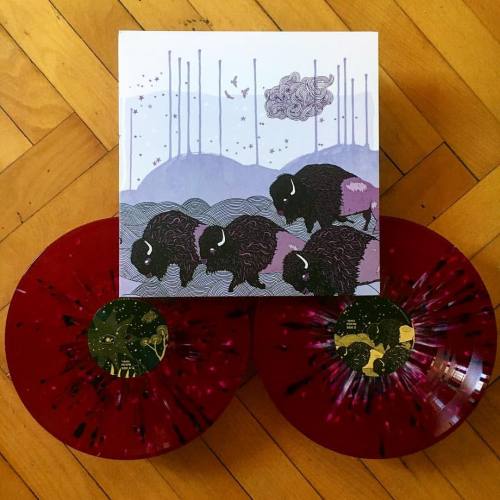 *shels - Plains of the Purple Buffalo | 3rd press on Clear Marbled Purple Vinyl