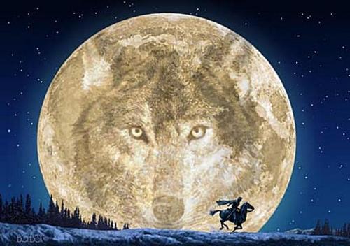 Michel Bohbot - wolfmoon