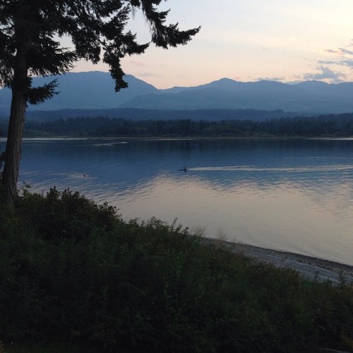 Fanny Bay #vancouverisland #latergram