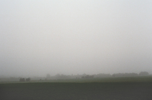 sleepy fields in the haze by Lori B.