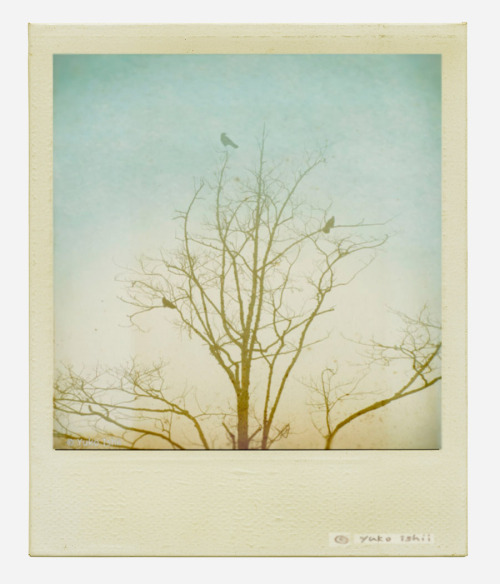  waiting for the sun IIIMixed Media Photography, waxLimited Edition © Yuko Ishii 