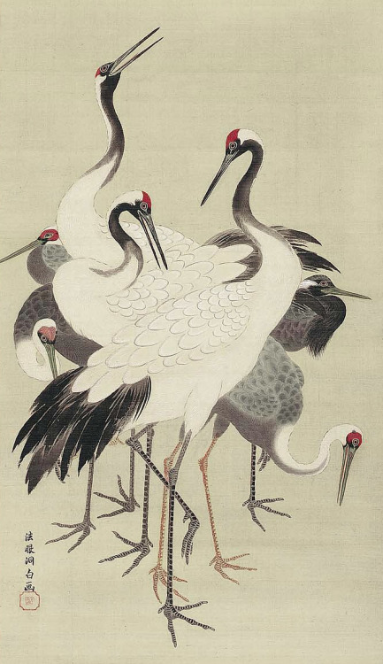 japaneseaesthetics:Cranes [detail]Tsuru zu鶴図Kano Tôhaku Chikanobufirst half of the 19th centur