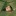 feather-of-tragedy: