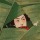 feather-of-tragedy: