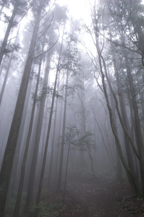 decepticun:  Mt. Mitake | by tetsumaru