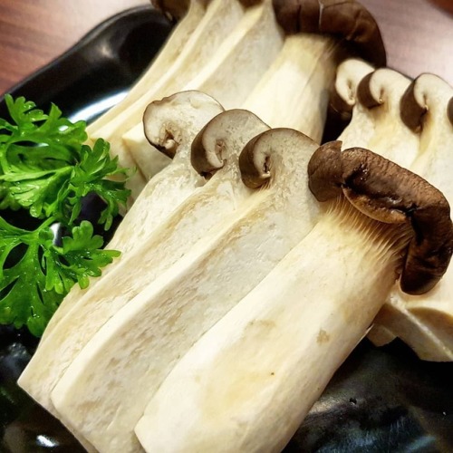 Mushrooms. . . . #mushrooms #steamboat https://www.instagram.com/p/BuYkQffhEtc/?utm_source=ig_tumbl
