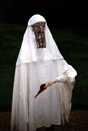 pom-seedss:  awkward-teabag:  pom-seedss:  nightjarring: I REALLY love the puppets