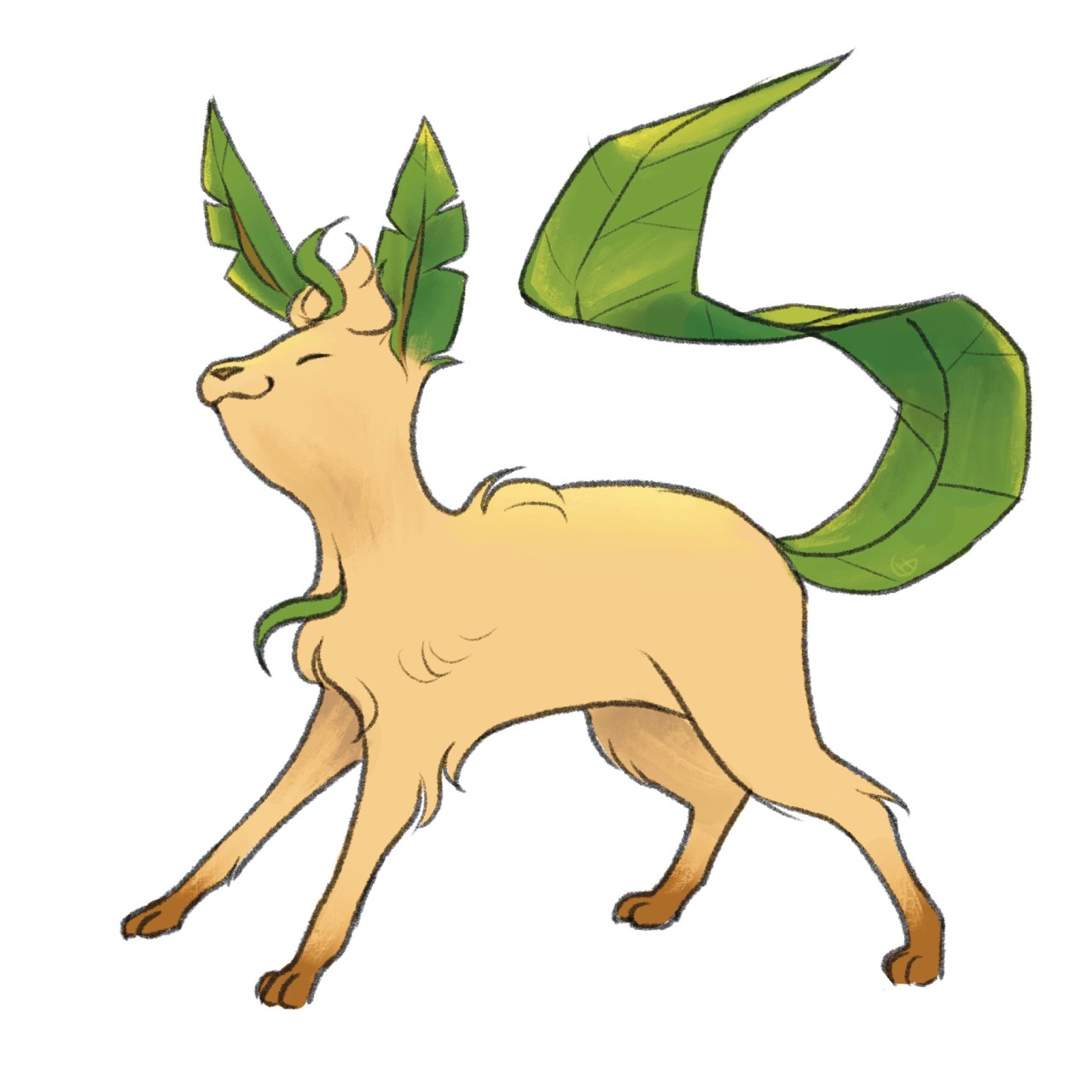 🍃•Tudo sobre um/uma Leafeon•🍃