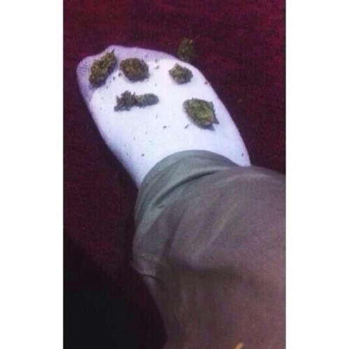 fungi:  Got the new HUF socks bruh 