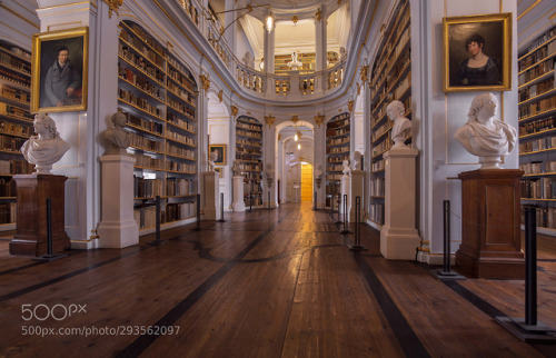 anna amalia library by oszg01