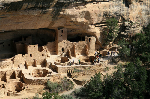 fyeah-history: Photographs of Cliff PalaceThe Cliff Palace is the largest cliff dwelling in North Am