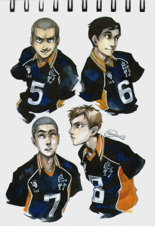 nandoo23blog:  Karasuno boys in watercolor 