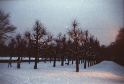 englishsnow:  { winter nights }