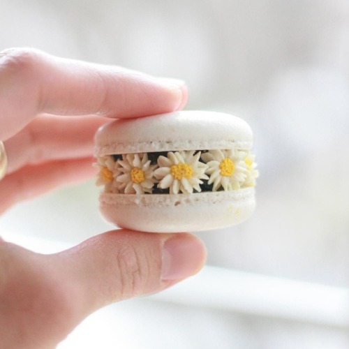 sosuperawesome:Macarons by Ayseyamanbutikpasta on InstagramFollow So Super Awesome on Instagram
