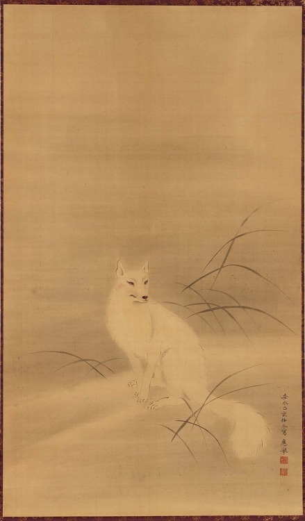 Title: White FoxArtist: formerly attributed to Maruyama Ôkyo Date: 1779Medium: hanging scroll, ink a