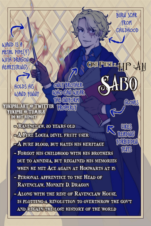yukipri:One Piece x Harry Potter AU???feat. the ASL Brosaka an AU that I’m sure has been done 