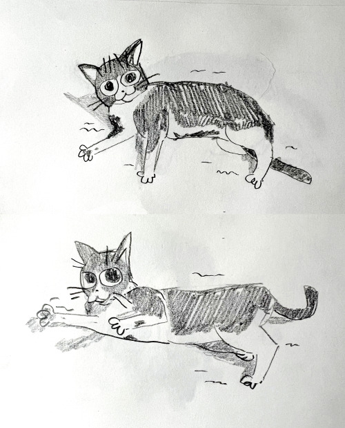 connordraws:drawings of my cat(s) (1) adult photos