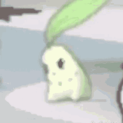 robotcatgirls:CHIKORITA CHUESDAY IS NOT AT ALL LIABLE FOR YOUR PHONE CRASHING. IF YOU CANNOT HANDLE 