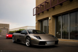 desertmotors:  Lamborghini Murcielago and