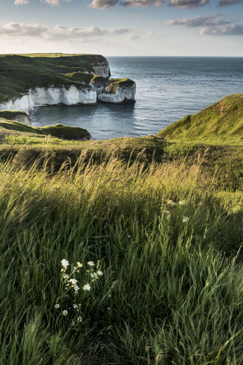 disminucion - Flamborough Head | Rob Rossington