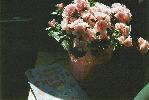 Fotos