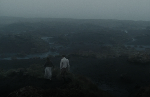 Sex amindindisarray:Wuthering Heights (2011) pictures