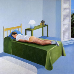 lil-island:  david hockney 
