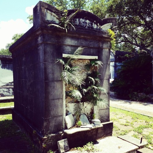 cajunfrisson:  Lafayette cemetery no. 1 June, 2016
