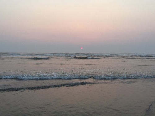 littleneptuneflower: this just happened at the beach. the wildfire smoke obscured the sun & it l