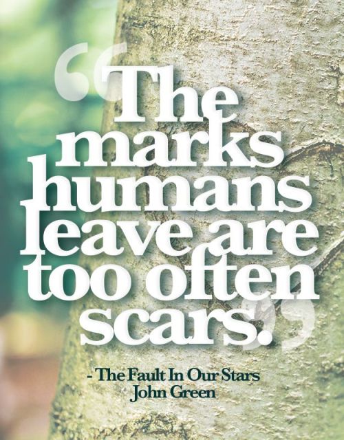 Quotes & Poems