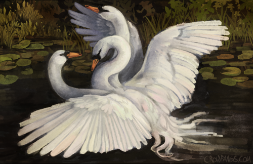 crow-fangs:   Have a swan… hydra…. thing. Been doing lots of studies from photos  lately, and fighting swans just look like some weird two-headed mutant  with too many wings, so uh.. this happened. I might come back to it  later to finish cleaning