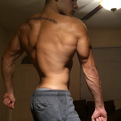 lumbrjax:  Instagram user @dinosmash http://ift.tt/20Jqxkp