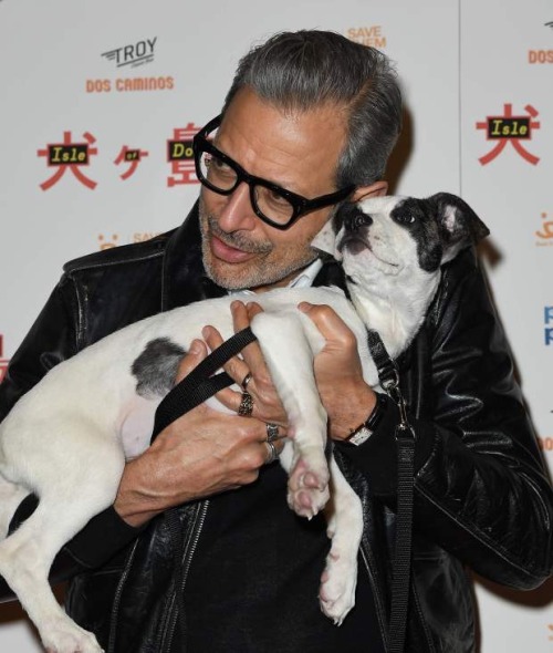 cmloweart-x:The best part of the Isle of Dogs promotion is all these new photos of Jeff Goldblum cud