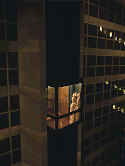 Denier69:  View From My Room……~~~~ Wmagazine:  The Night Birds Of Vegas. 