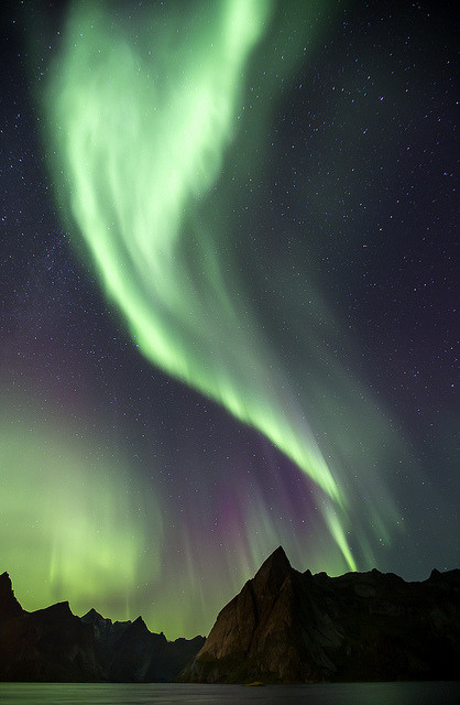 tulipnight:  Aurores Boréales by **Meg’s Photos** on Flickr. 
