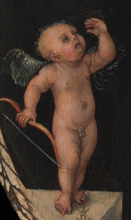 You OK there, baby? Detail: Venus and CupidLucas Cranach the Elder1525-1527