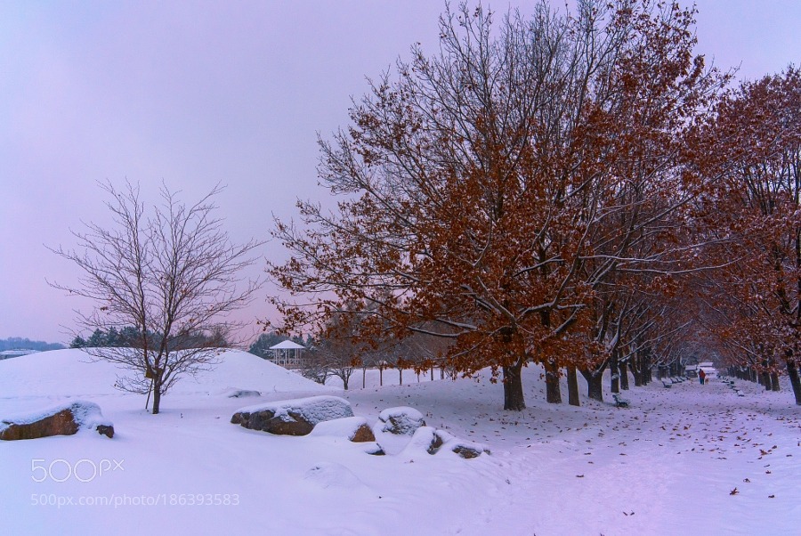 superbnature:Morning silence by ahtamar http://ift.tt/2h7rIf7