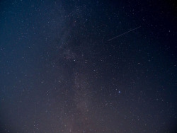 hadesblood:  Perseid Meteor Shower, 12 Aug. 2017. We drove for hours and stopped at the middle of nowhere to stargaze and shoot this stunning meteor shower! 