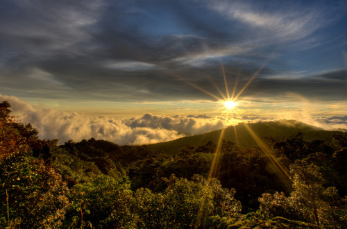 View from Cerro Amigos Cerro Amigos is the highest point (6,000ft) in the Monteverde reserve. On a c